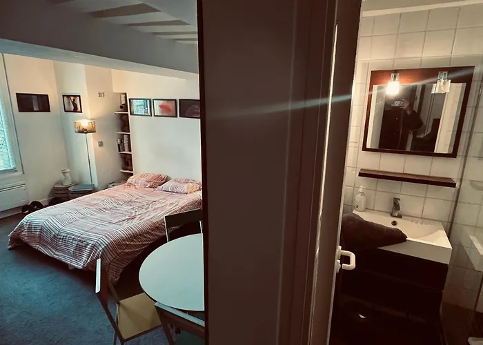 Independante Centre Marais 住宿加早餐酒店 3*